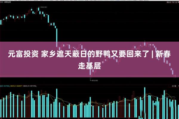 元富投资 家乡遮天蔽日的野鸭又要回来了 | 新春走基层