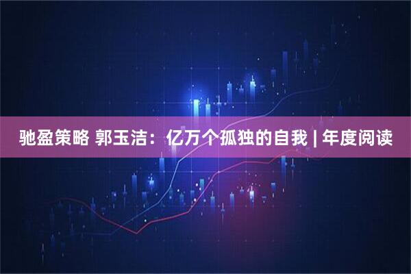 驰盈策略 郭玉洁：亿万个孤独的自我 | 年度阅读
